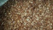 Продаем Лучшие сорта узбекского риса от производителя