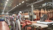 Работа в Германии: Мясокомбинат